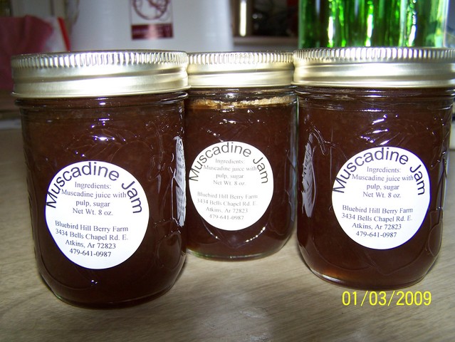 Louisiana muscadine jams recipe