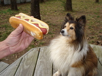 Rf_lady_hotdog